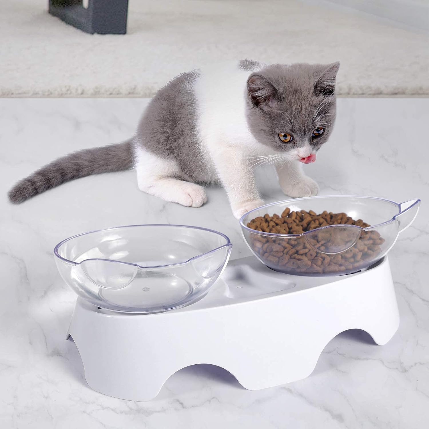 Cat Food Bowls