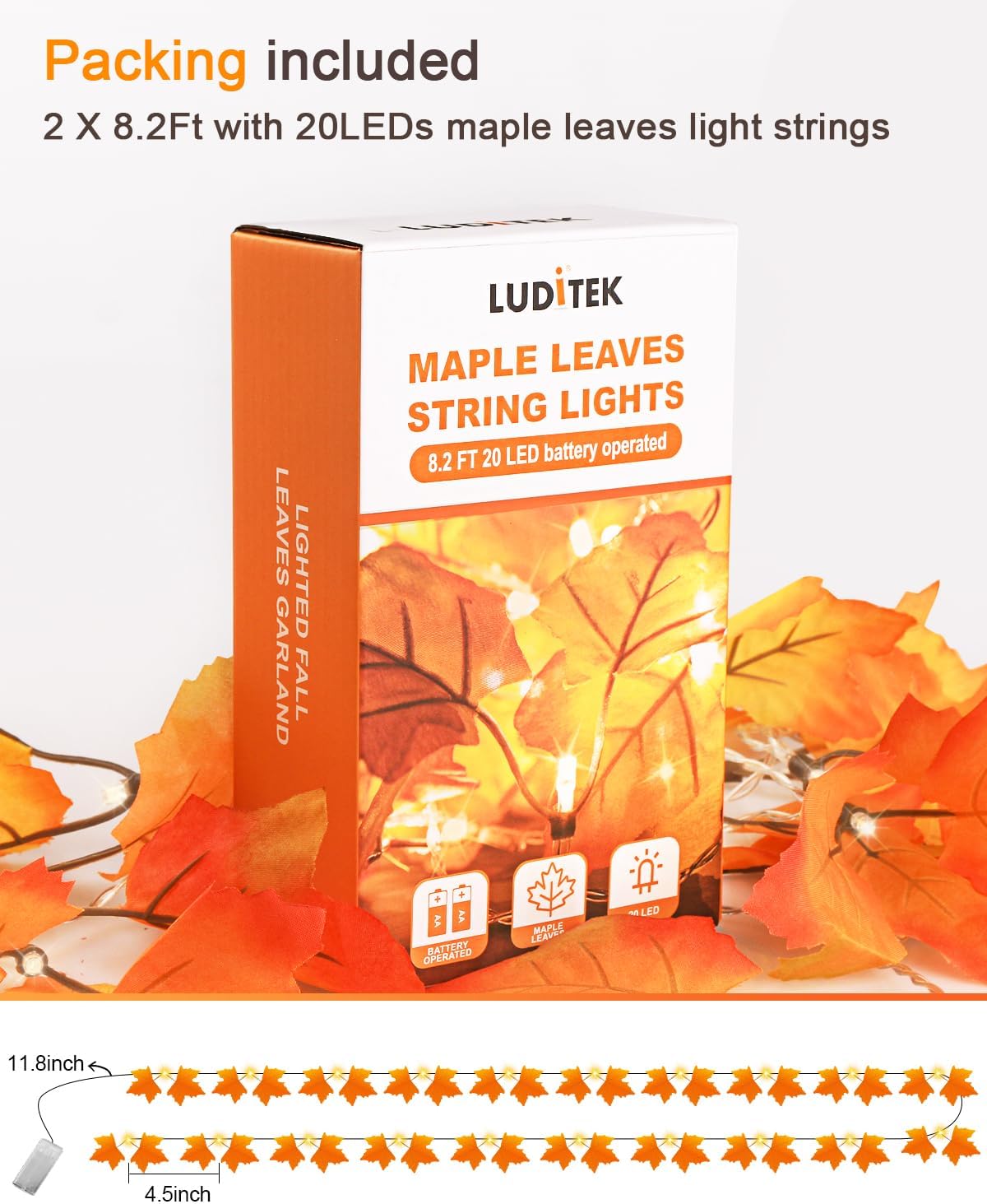 2 Pack Halloween String Lights