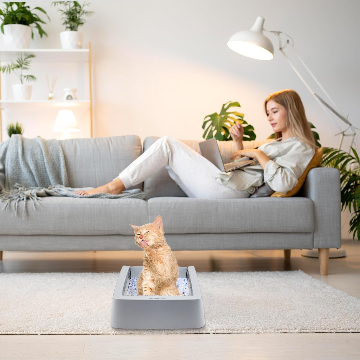 Litter Tray Stainless Steel