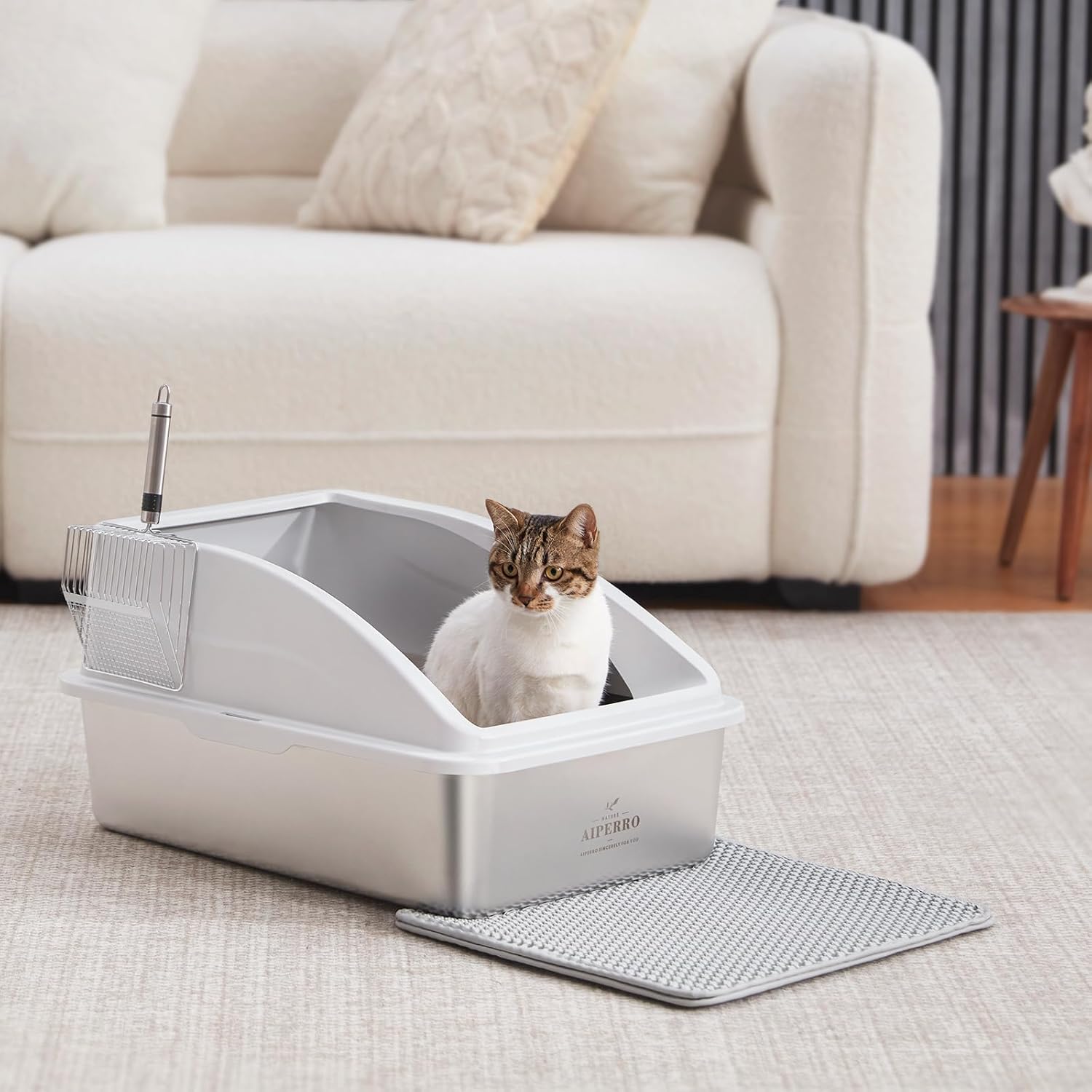 Cat Litter Box with Lid for Big Cats, Litter Mat & Metal Scoop