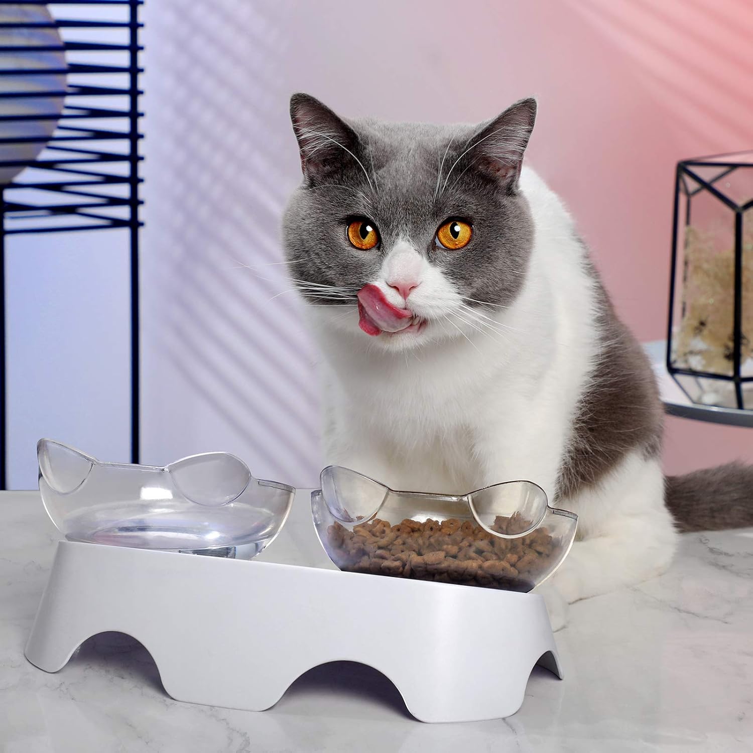 Cat Food Bowls