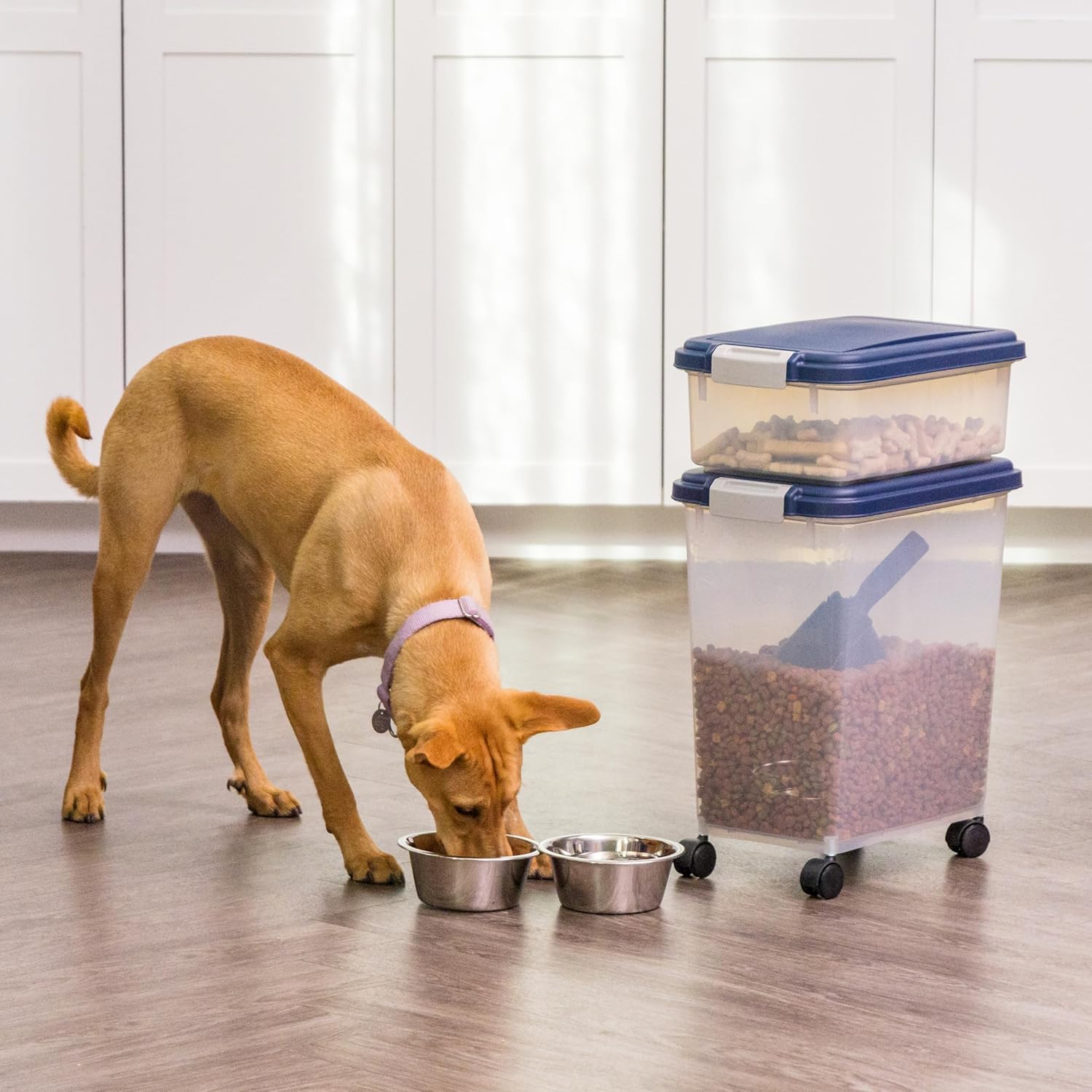 Dog Food Storage Container, 30 lbs & 11 lbs Combo