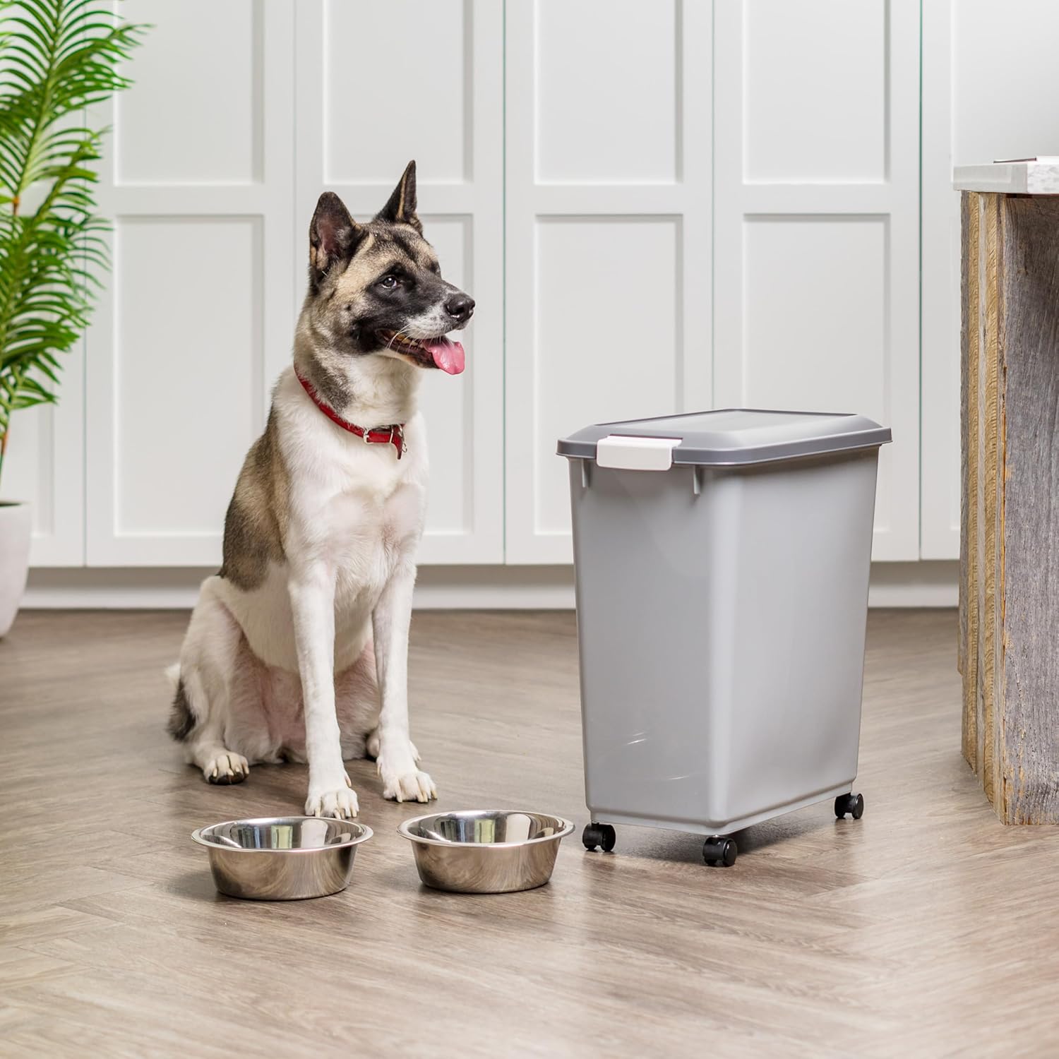 Dog Food Storage Container with Wheels, Airtight Lid, 2-Cup Scoop