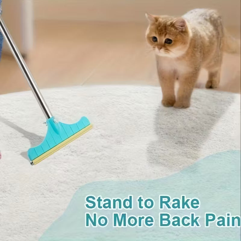 Carpet Rake for Pet Hair Removal