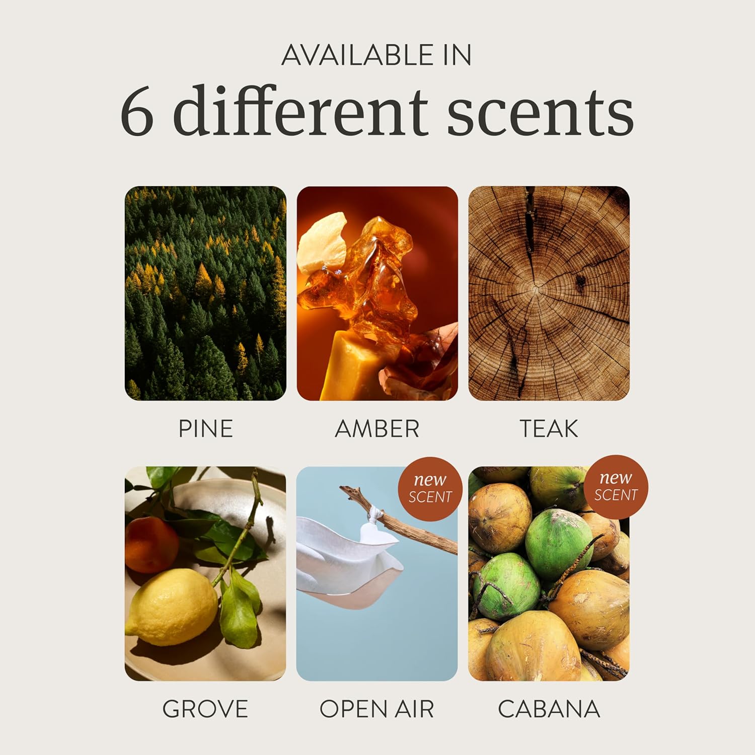 Drift Car Air Freshener - Teak Scent