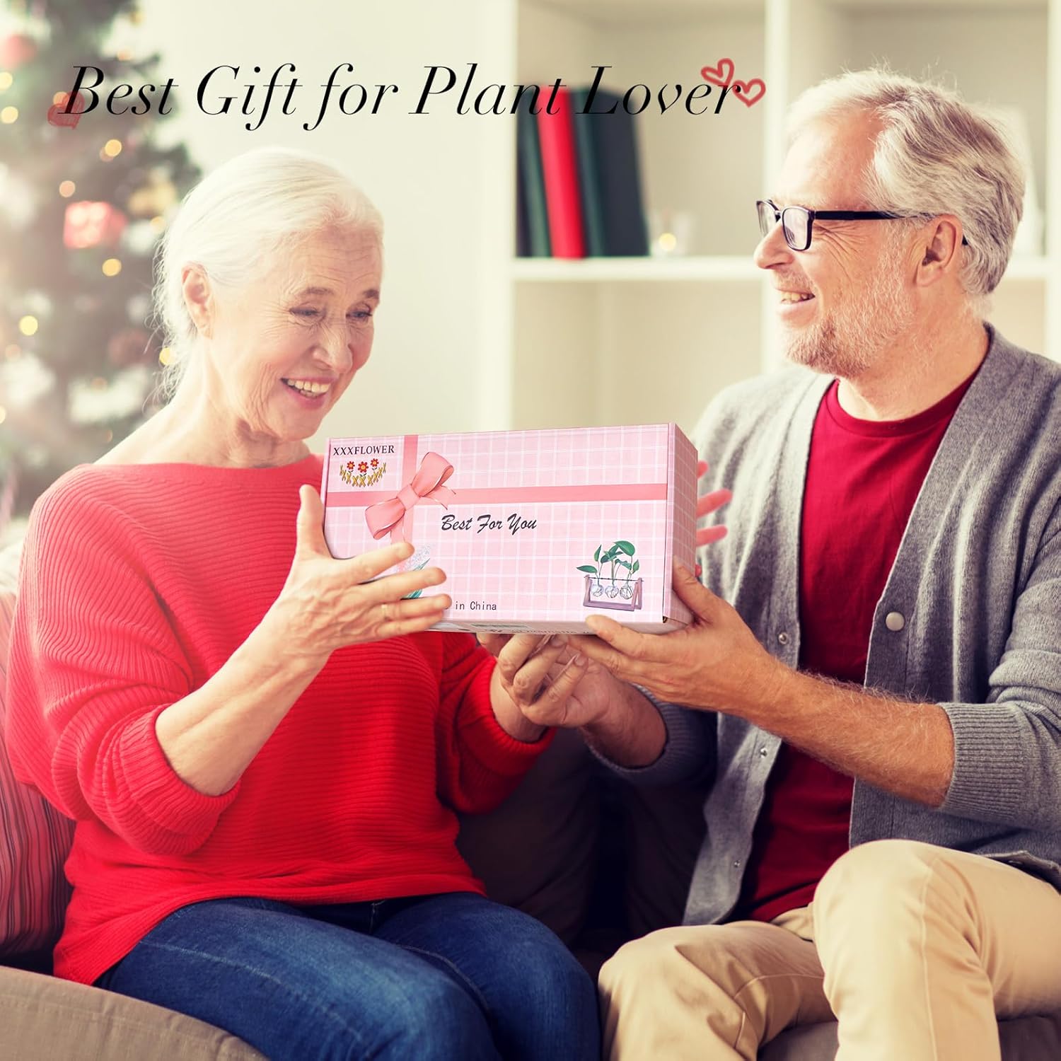 Plant Terrarium with Wooden Stand