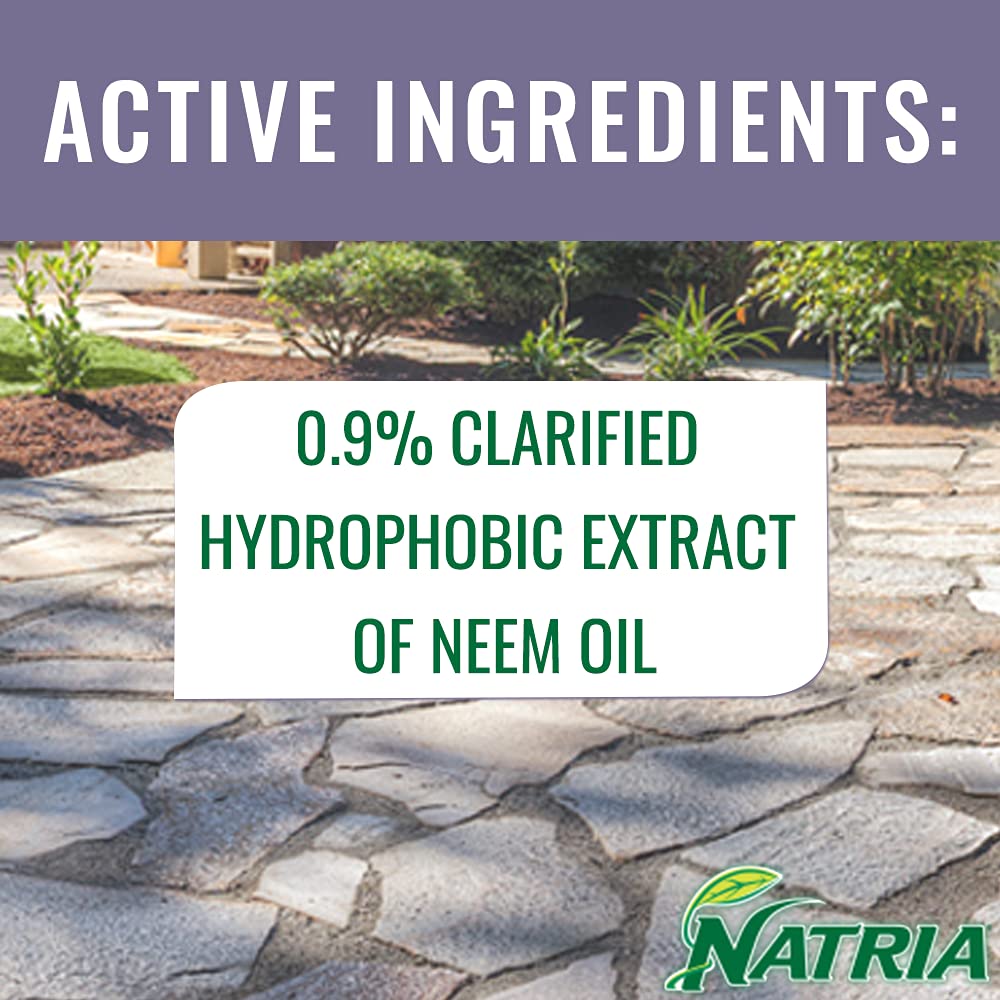 Neem Oil Spray for Plants