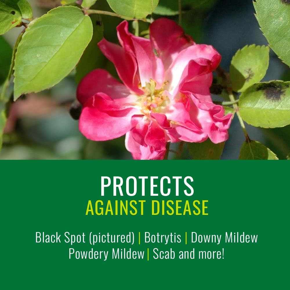 Neem Oil Spray for Plants