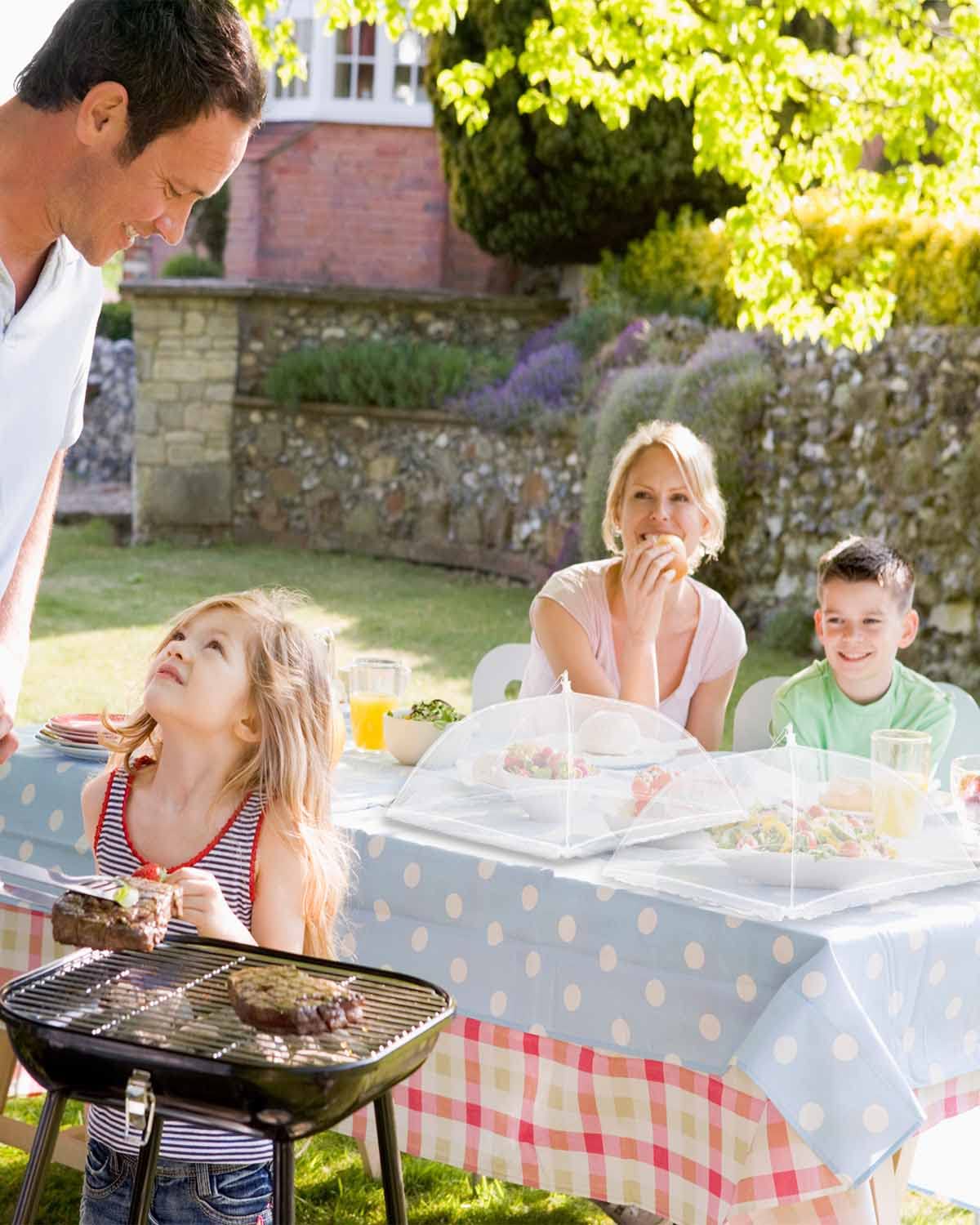 Large Food Cover, 6 Pack