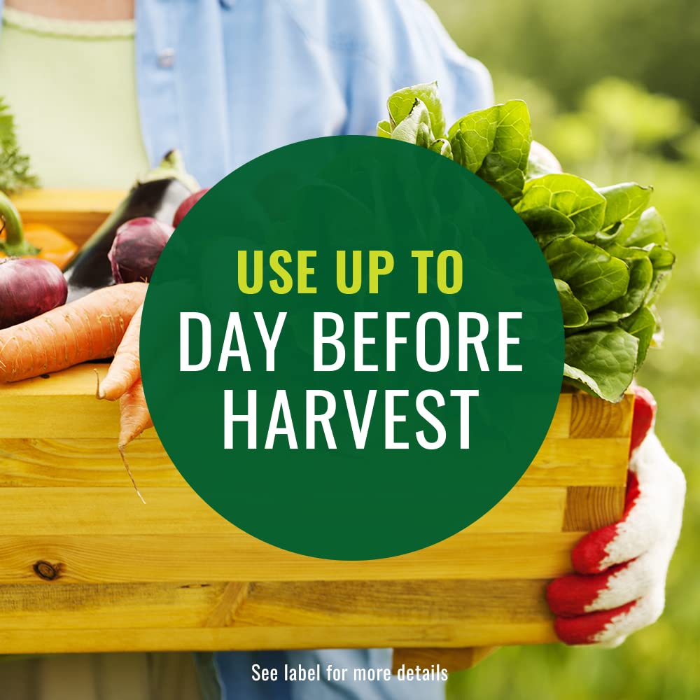 Neem Oil Spray for Plants