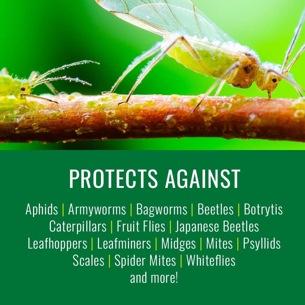 Neem Oil Spray for Plants