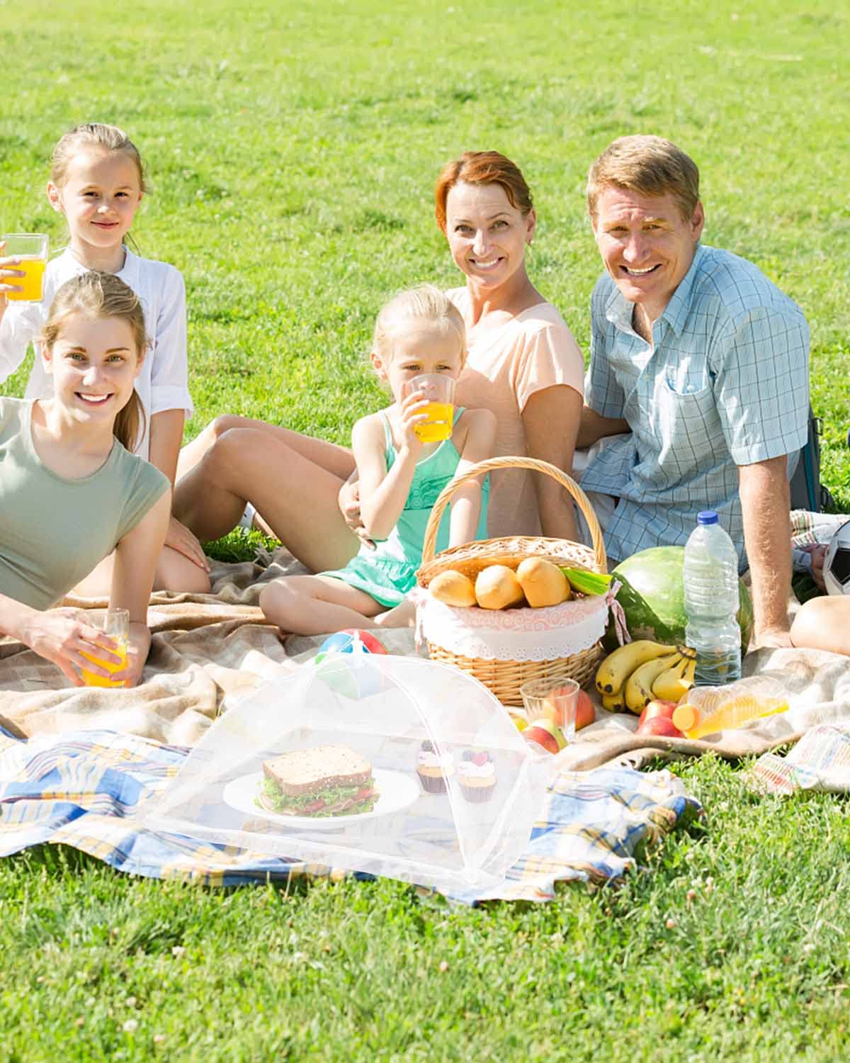 Large Food Cover, 6 Pack