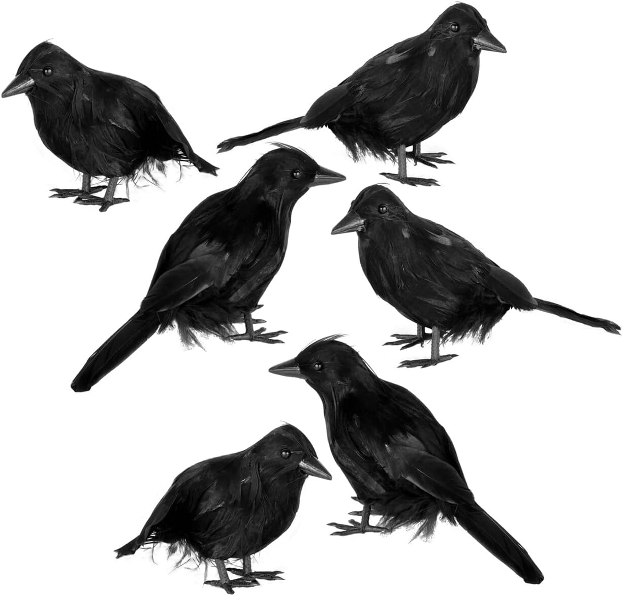 Halloween Crow Raven 6Pcs