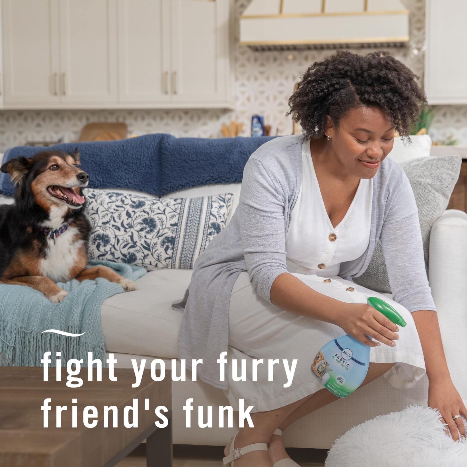 Pet Odor Fighter, Pack of 2