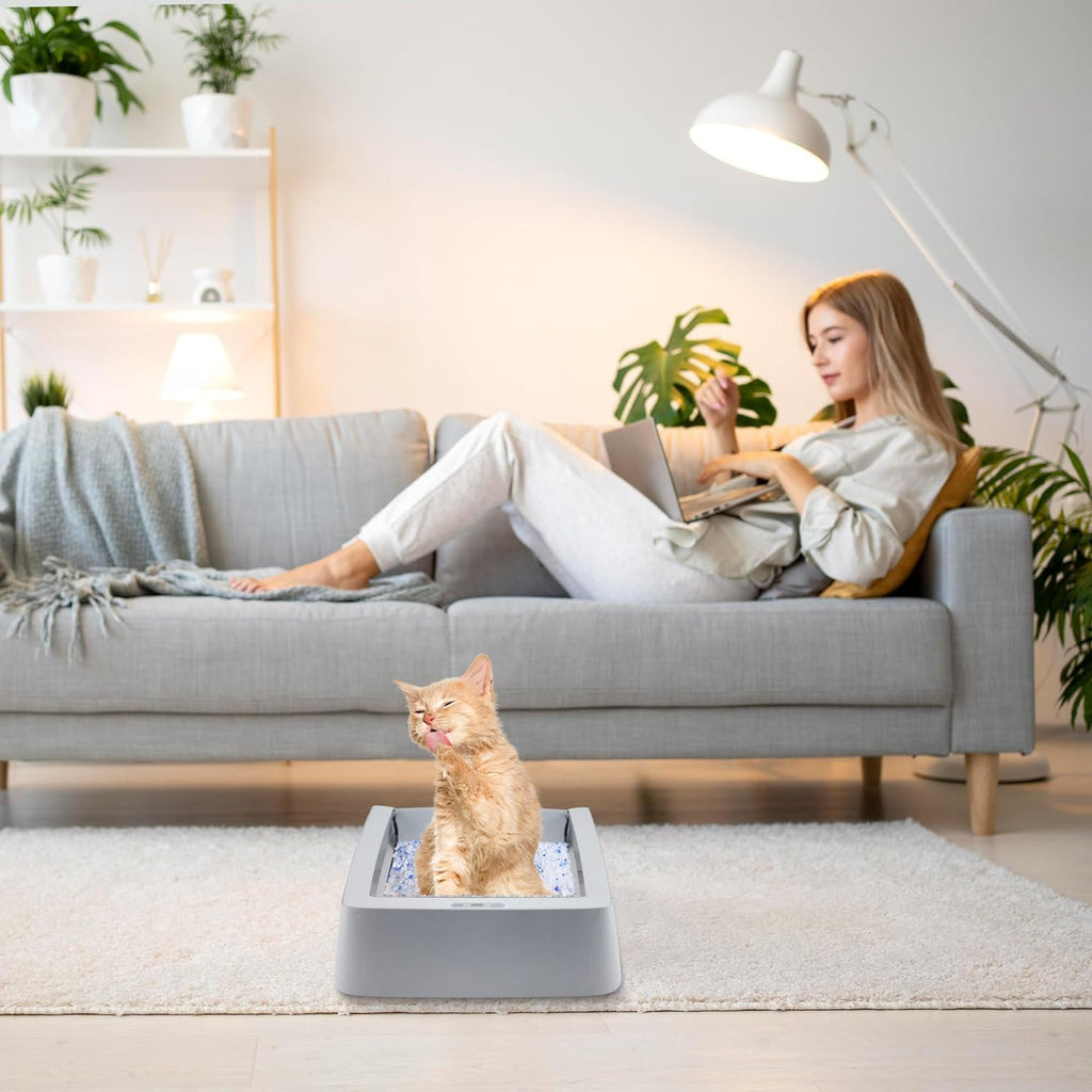 Stainless Steel Reusable Litter Tray Compatible with Petsafe Scoop-Free Self-Cleaning Cat Litter Boxes - Never Absorbs Odor, Stains, or Rusts (Stainless Steel Litter Tray)