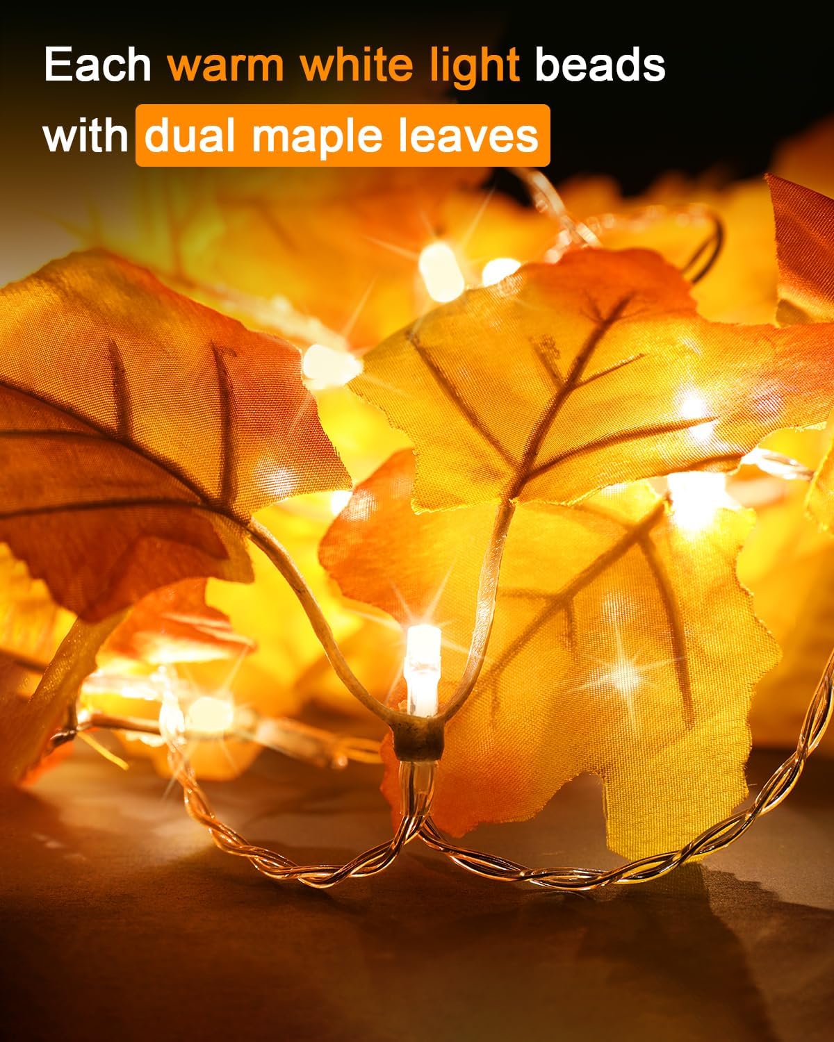 2 Pack Halloween String Lights