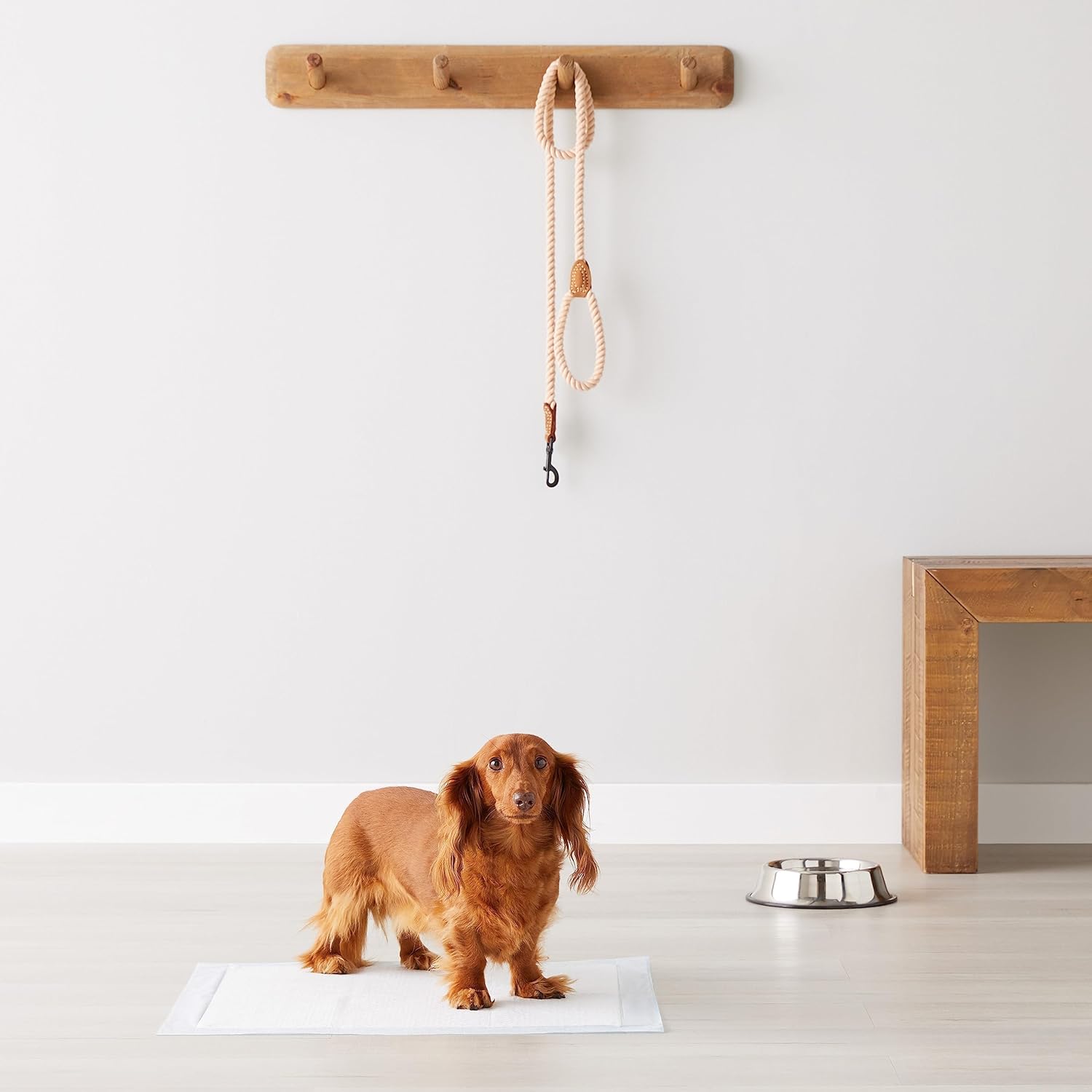 Dog and Puppy Pee Pads, 100 Count