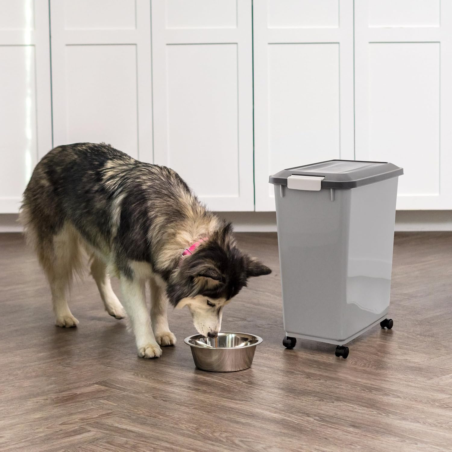 Dog Food Storage Container