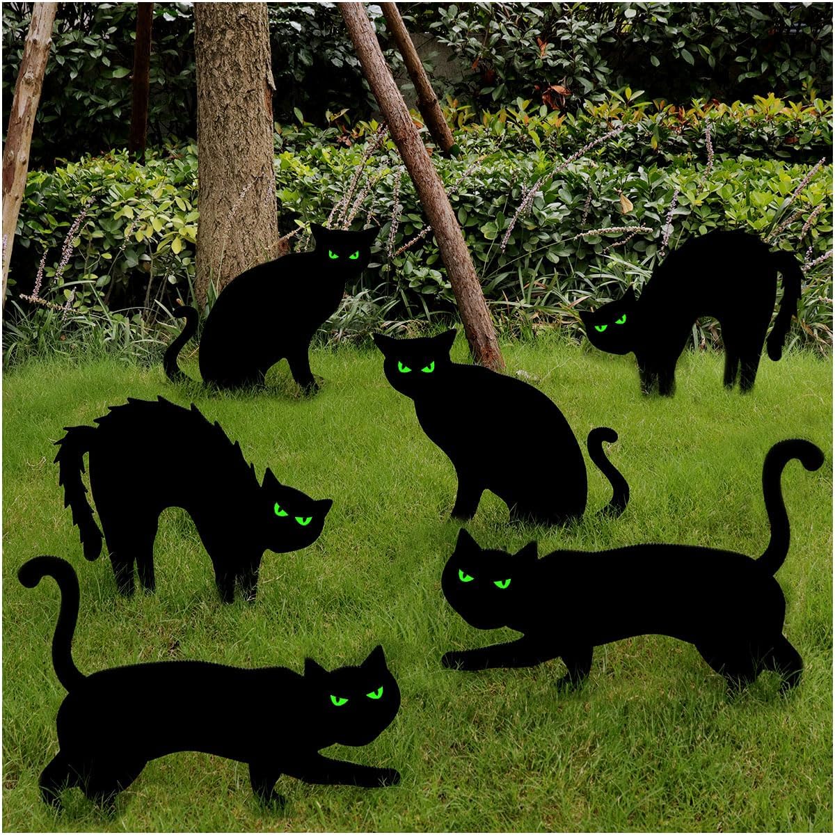 Halloween Decorations Black Cat Outdoor, 6Pcs