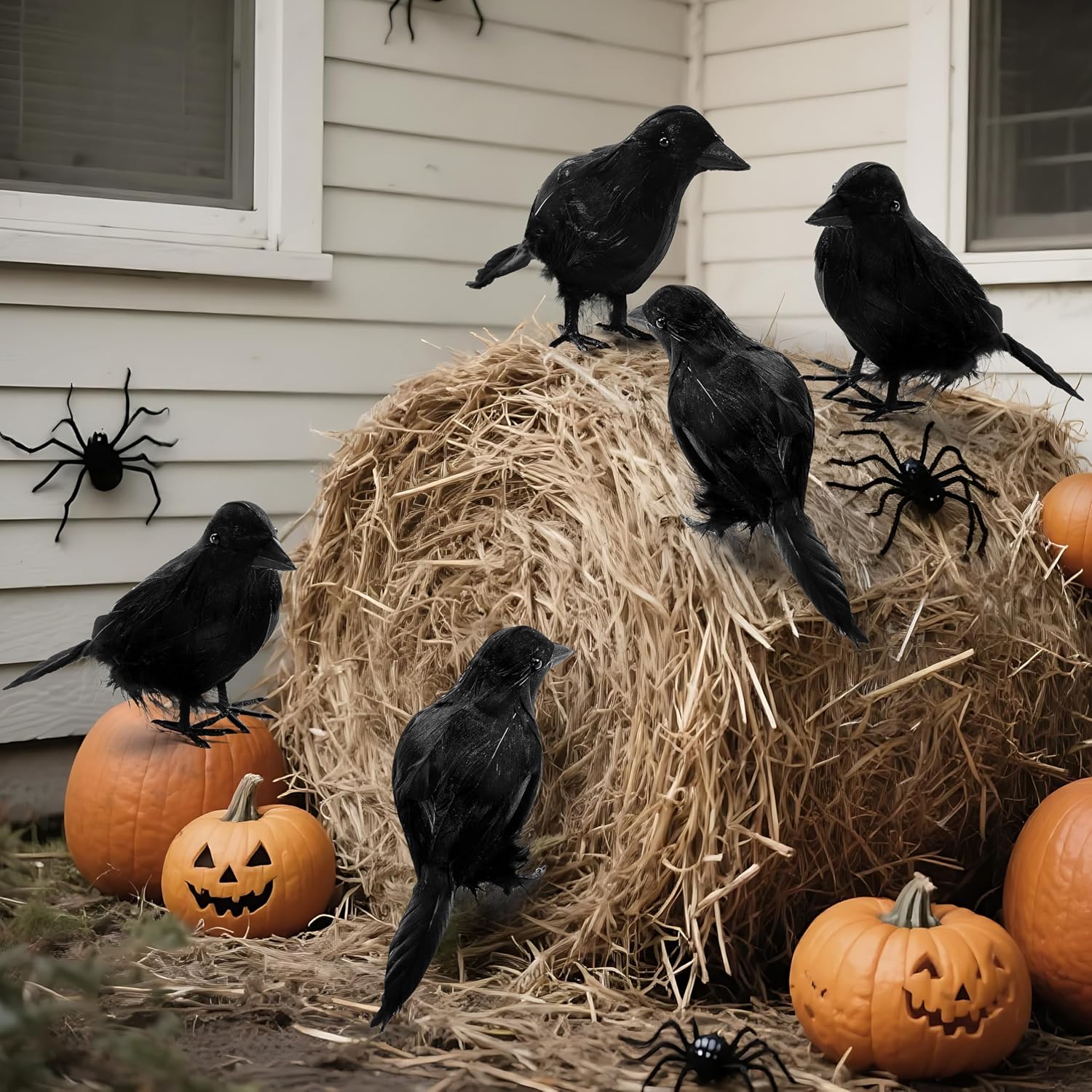 Halloween Crow Raven 6Pcs