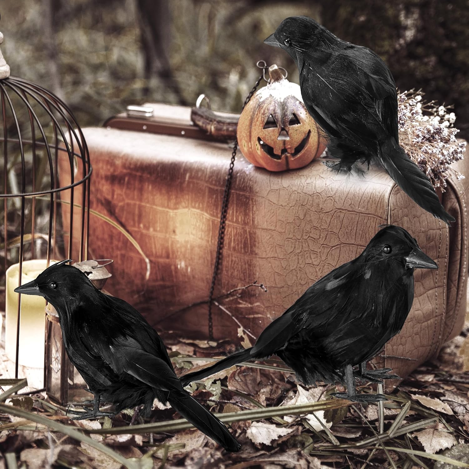 Halloween Crow Raven 6Pcs