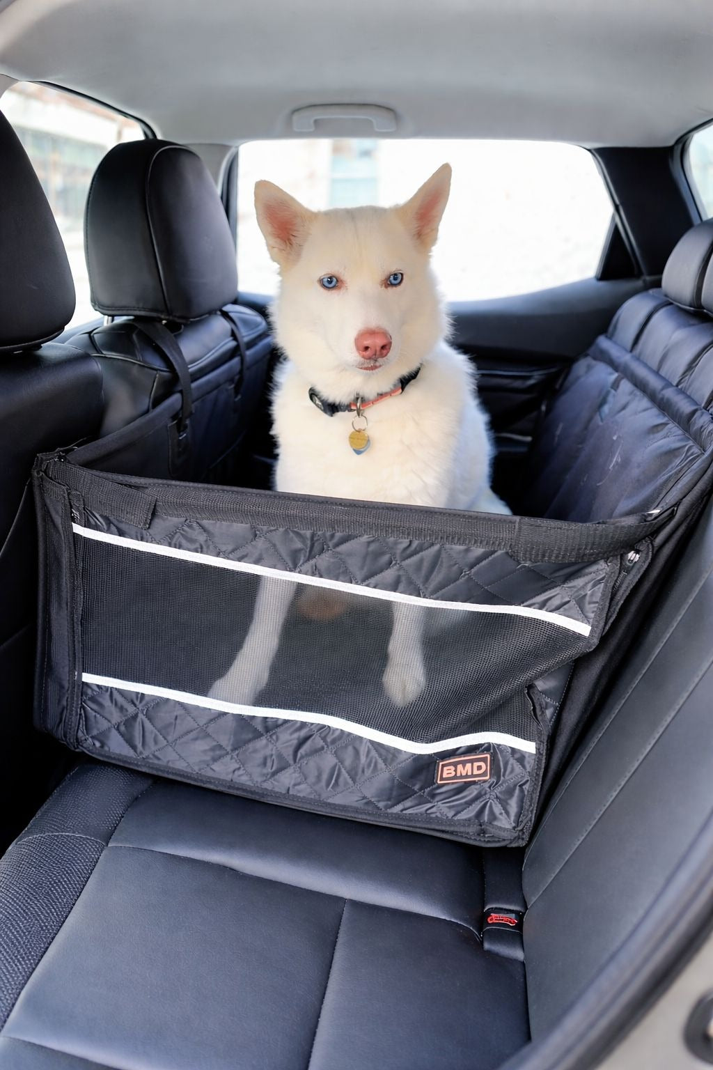 BMD Car Back Seat Cover for Dogs