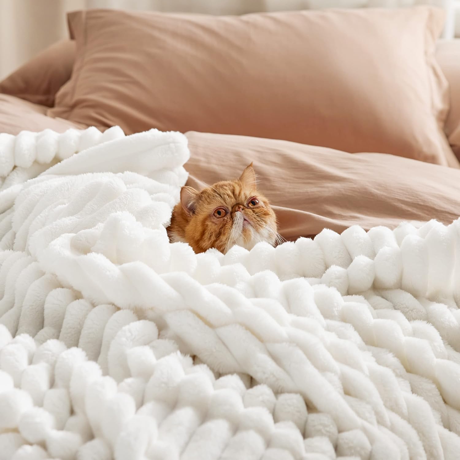 Bedsure GentleSoft White Throw Blanket for Couch - Cozy Blanket for Women, Cute Fleece Throws for Girls, Teacher Gifts Birthday Gifts for Women Men Mom, Room Home Dorm Decor, Off White, 50x60 Inches
